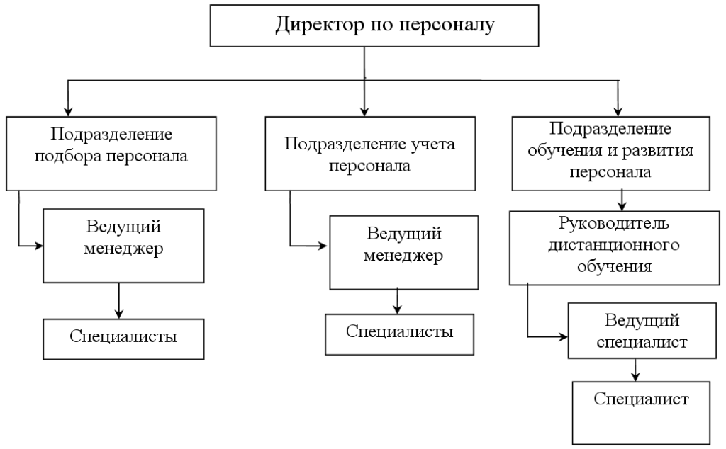 Структура персонала схема
